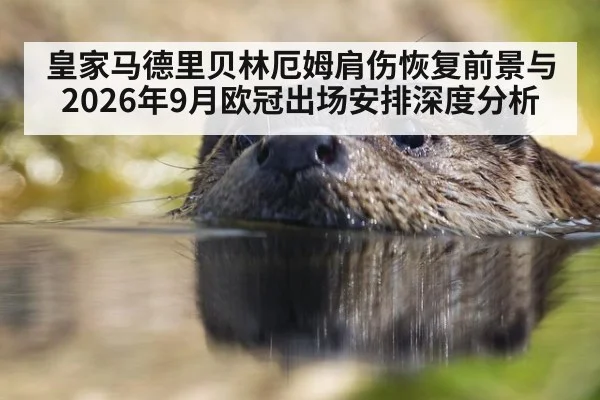 皇家马德里贝林厄姆肩伤恢复前景与2026年9月欧冠出场安排深度分析